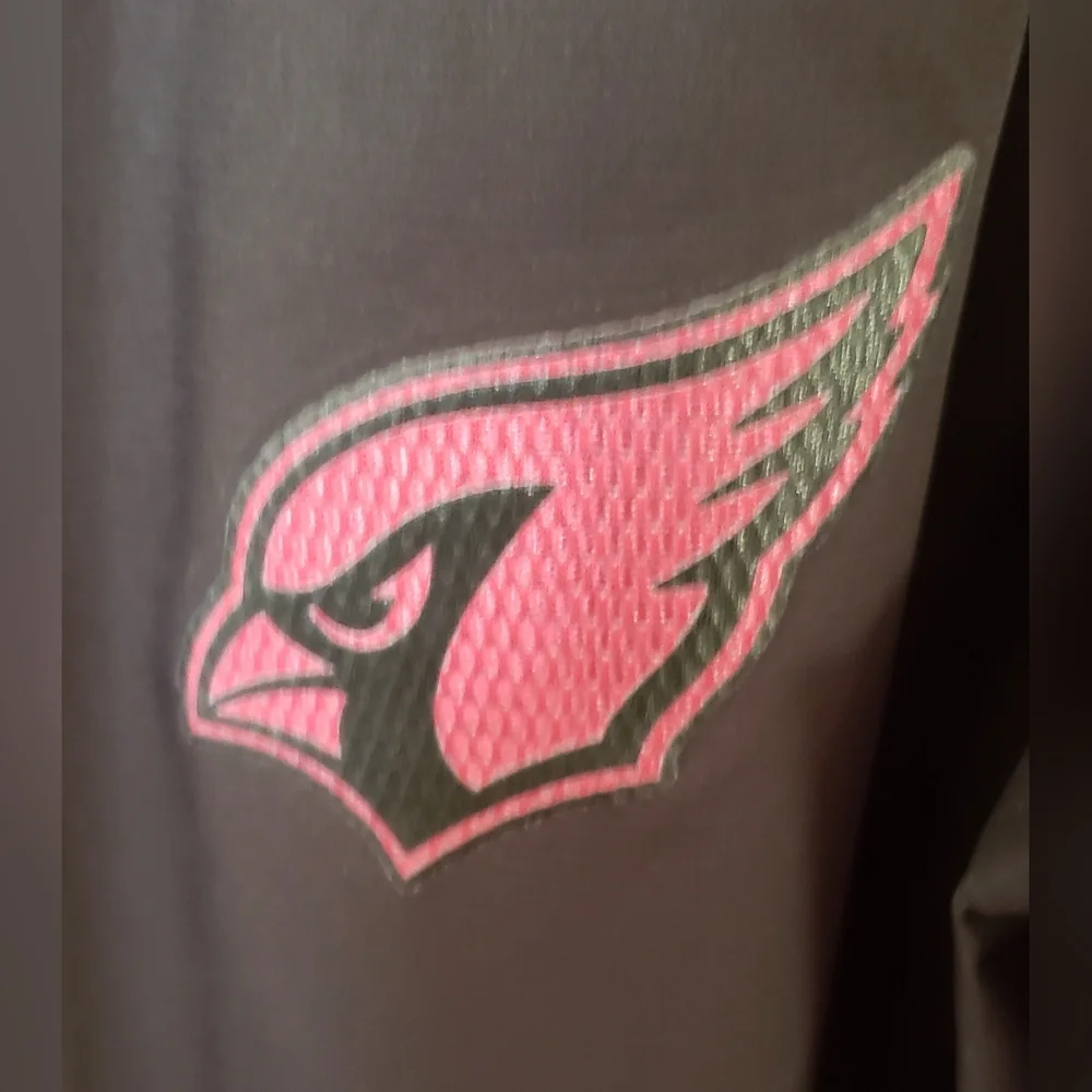 NFL arizona cardinals