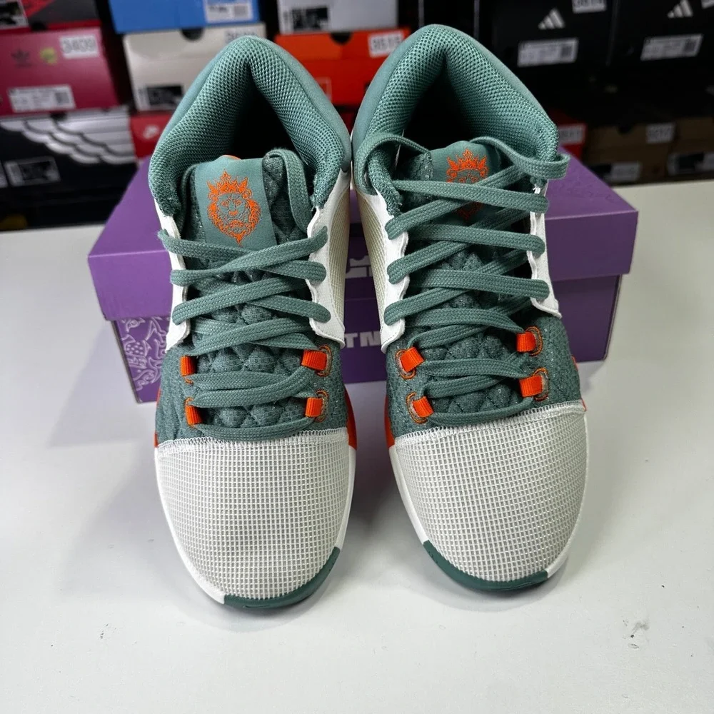 Nike lebron witness