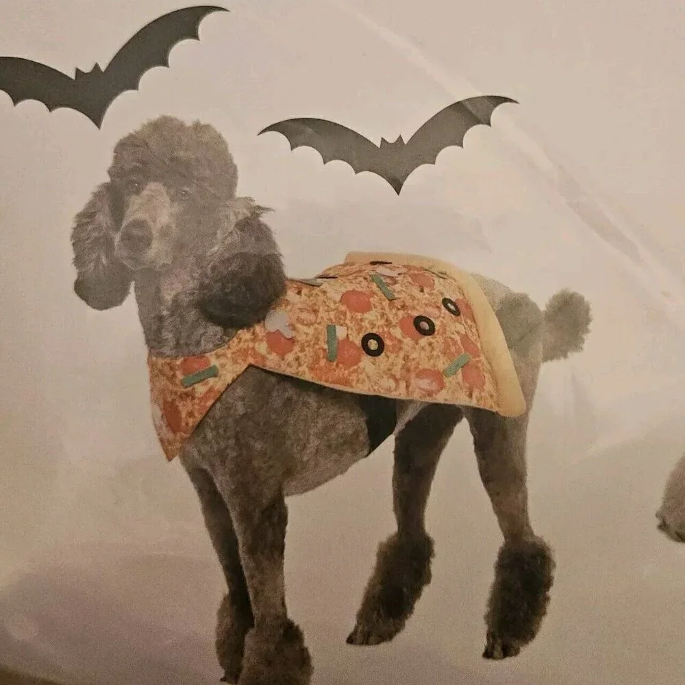 Vibrantlife this halloween