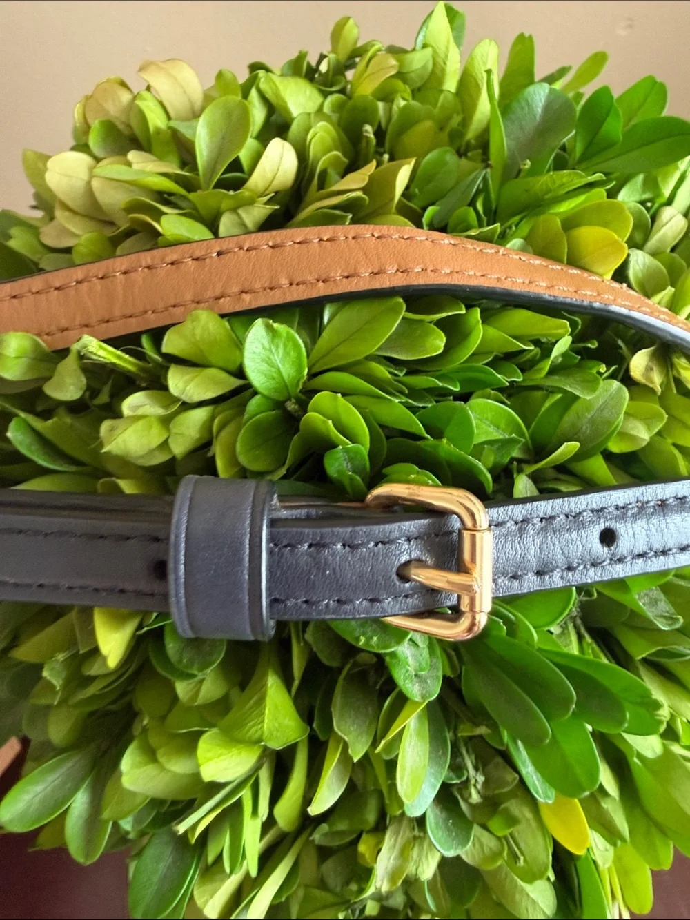 Coach msrp $165
