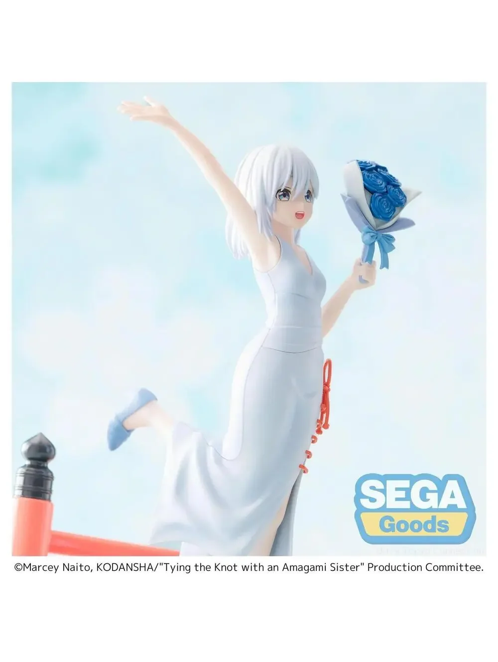 Sega tying knot