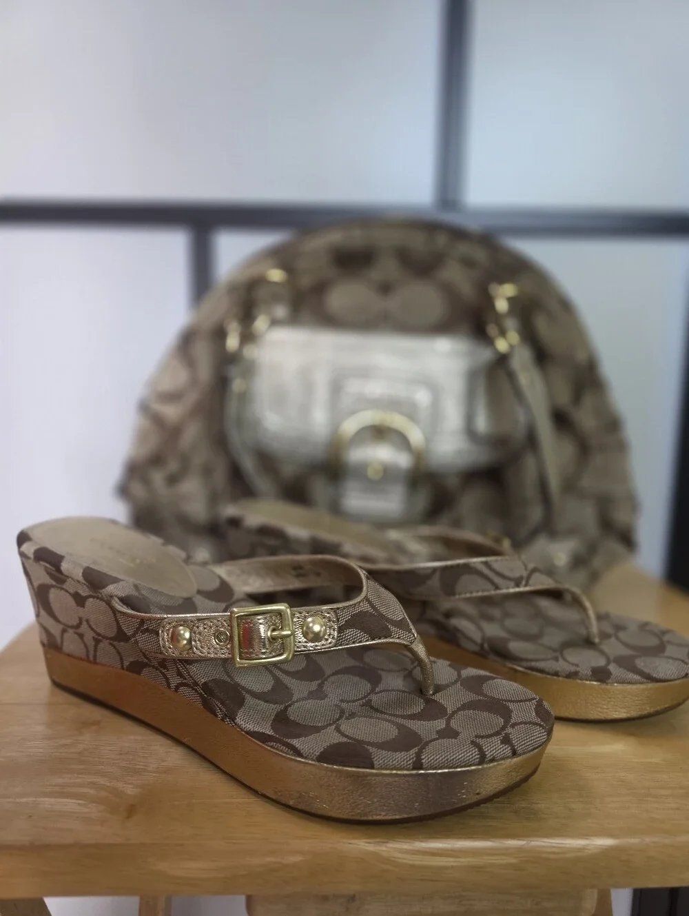 Coach Brown Signature Canvas Handbag And Wedge Thong Sandals Size 11