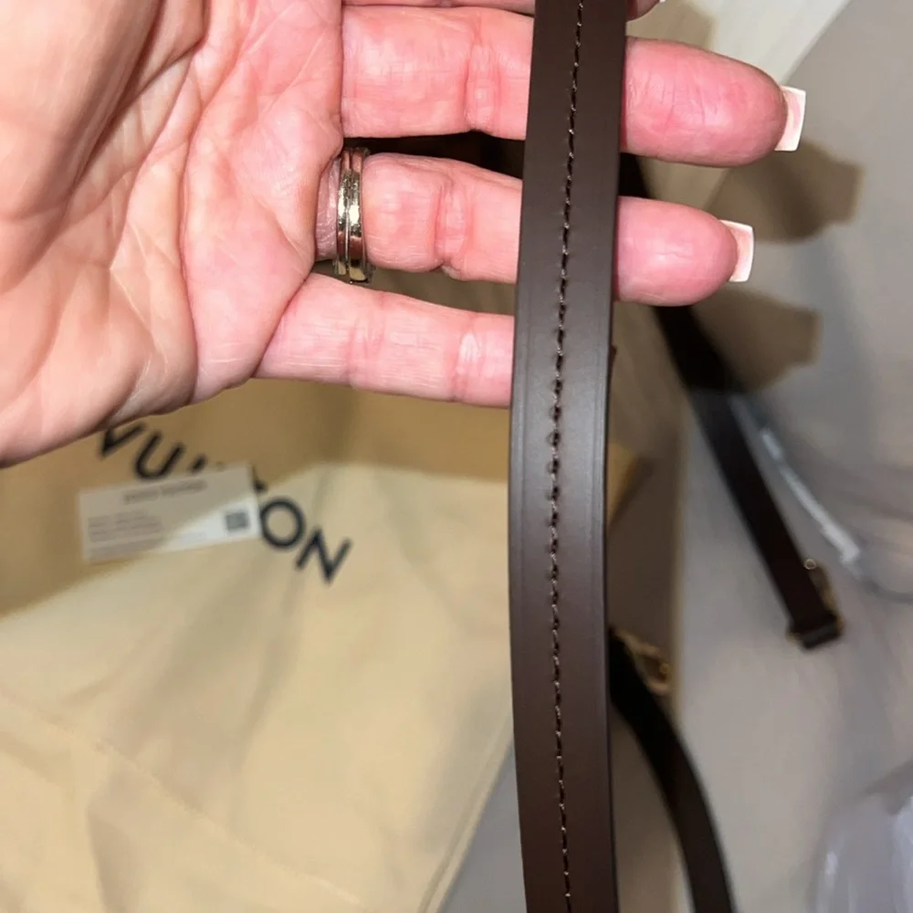 Louis Vuitton classic louis