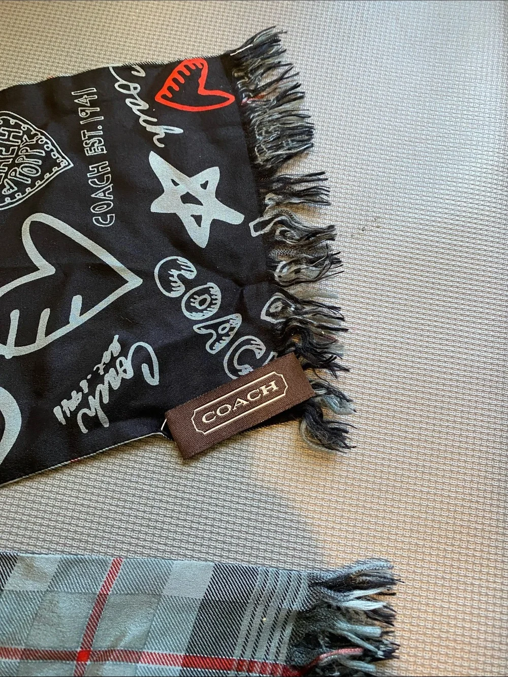 Coach graphic scarf