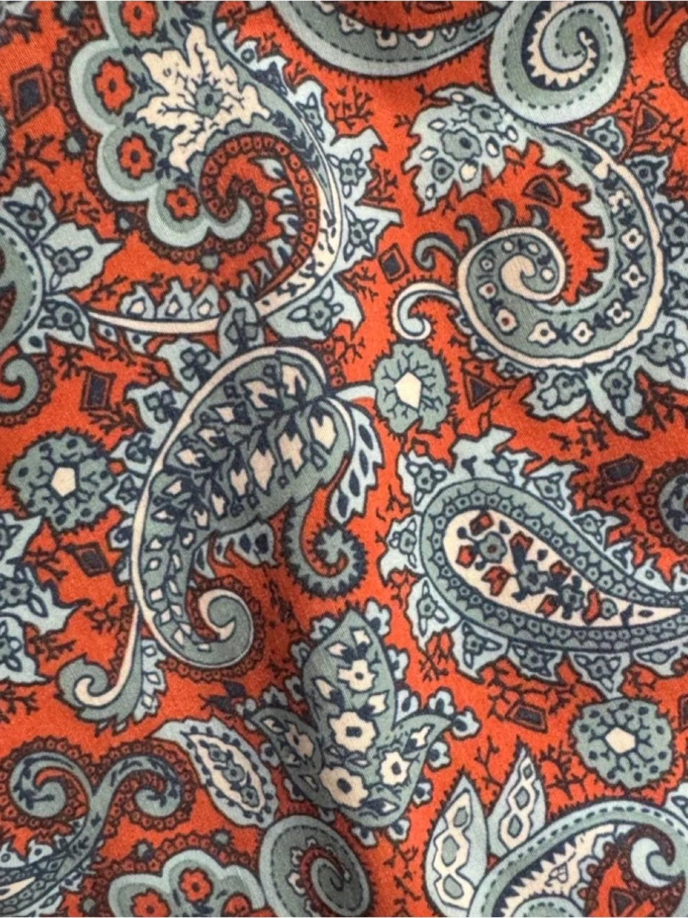 Fair Harbor Bayberry Mens Swim Trunks Paisley Print Size: Medium