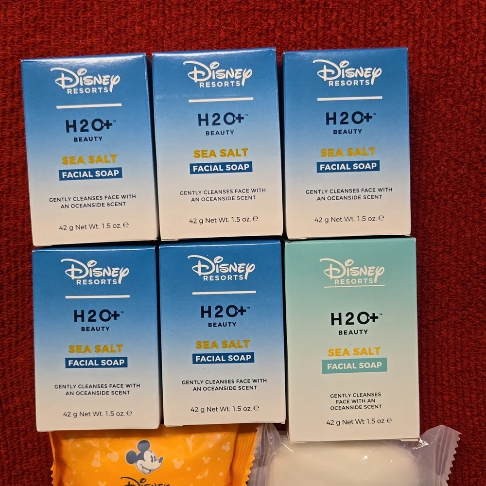 h20+ disney resorts