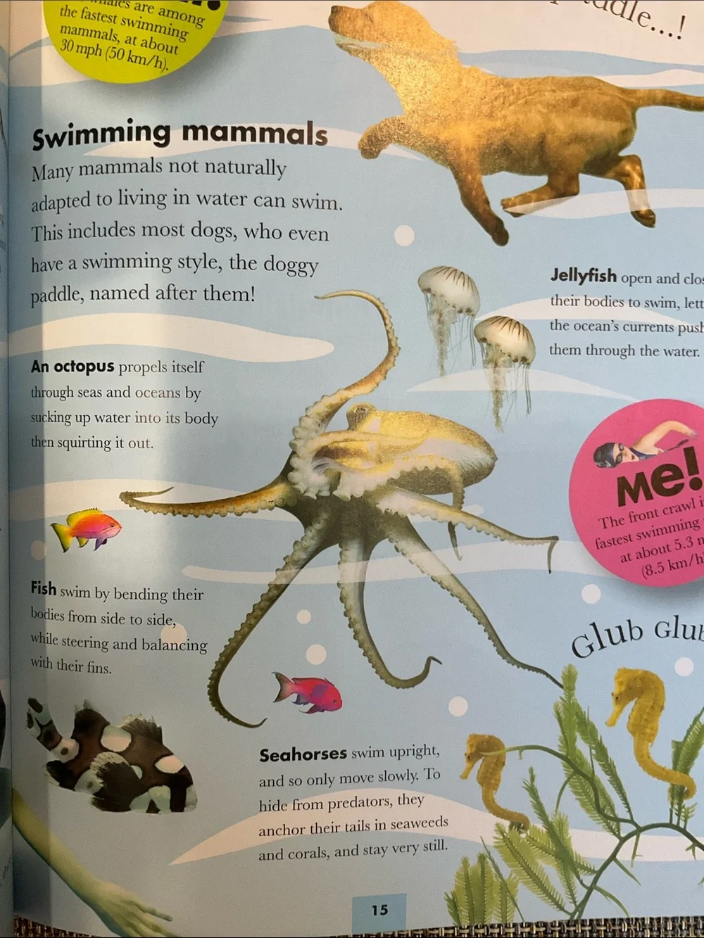 N/A dk animals