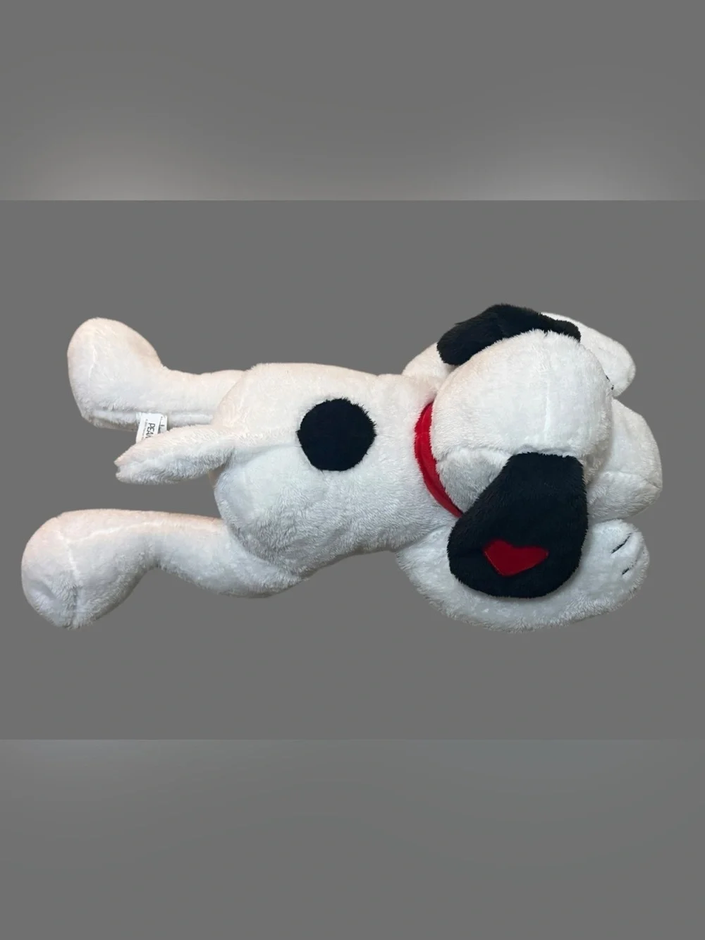 Peanuts hugging sunglasses