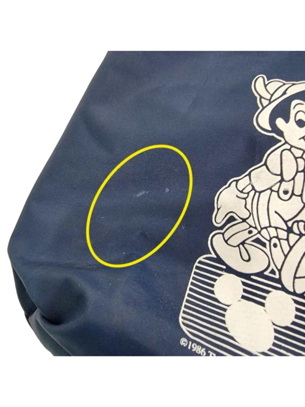 Disney walt company