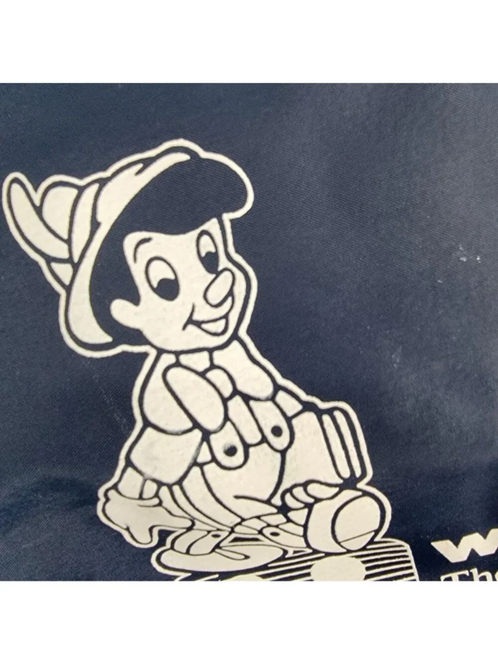 Disney walt company