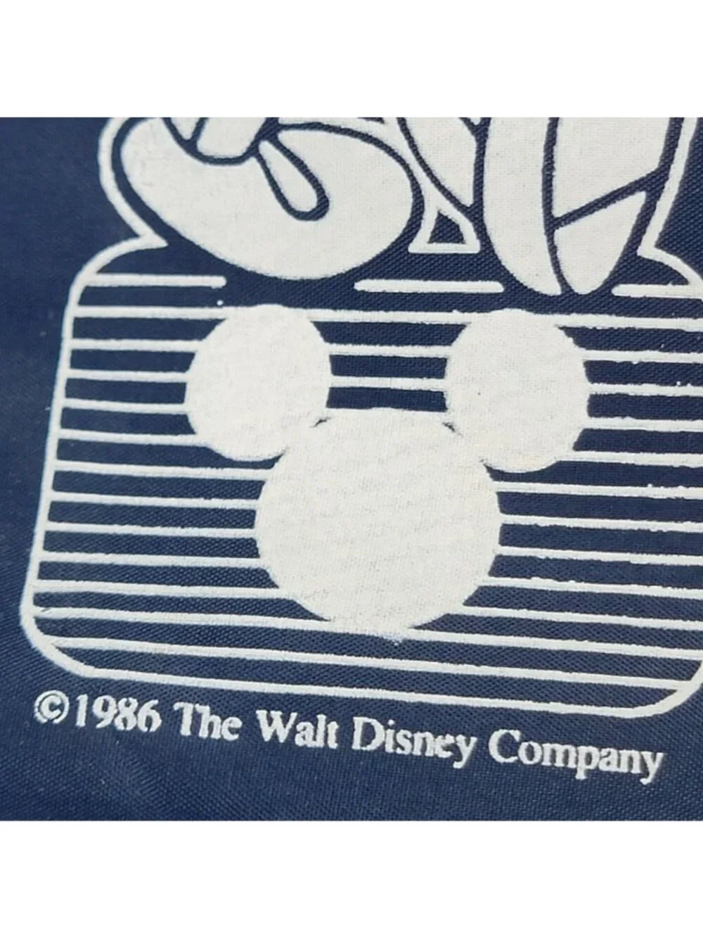 Disney walt company