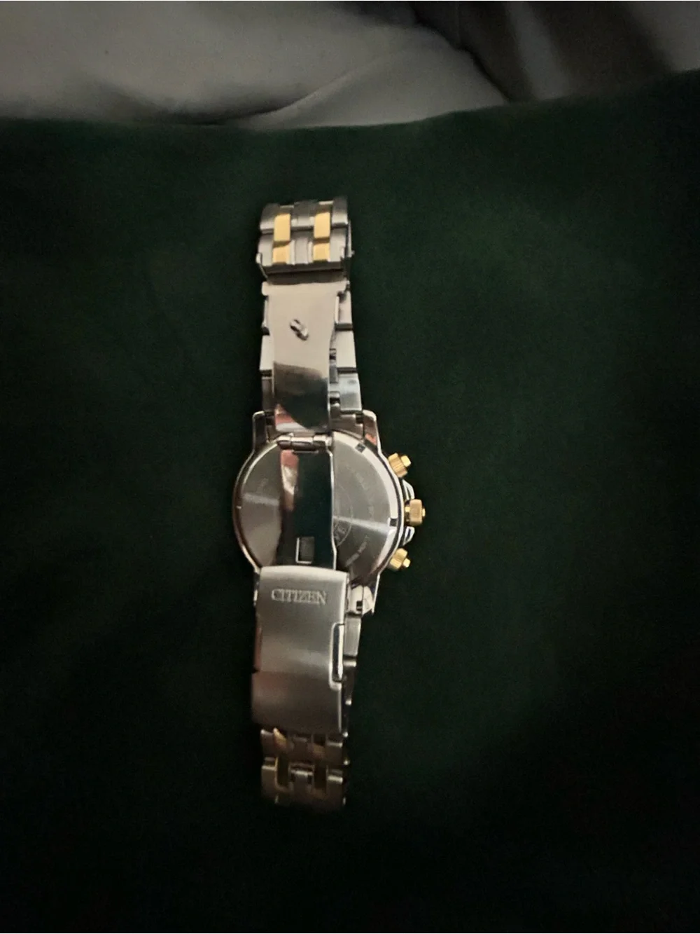 Citizen two tone