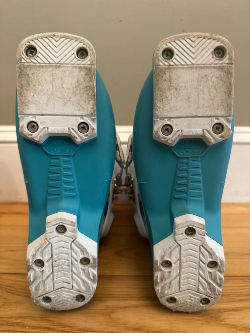 Nordica adorable functional