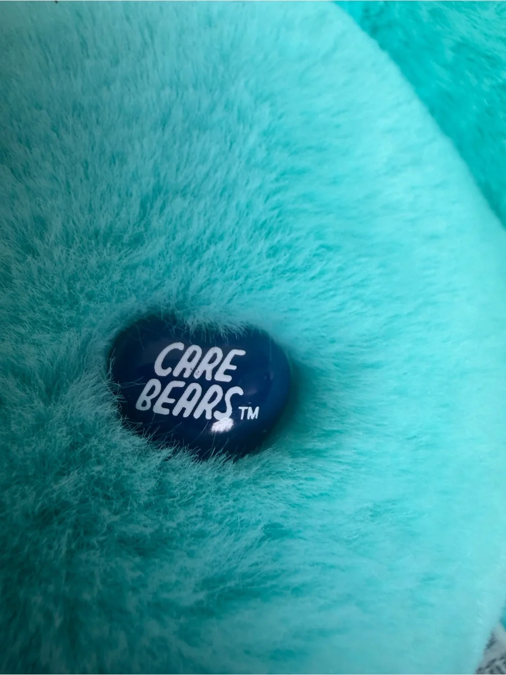 Care Bears soft teal