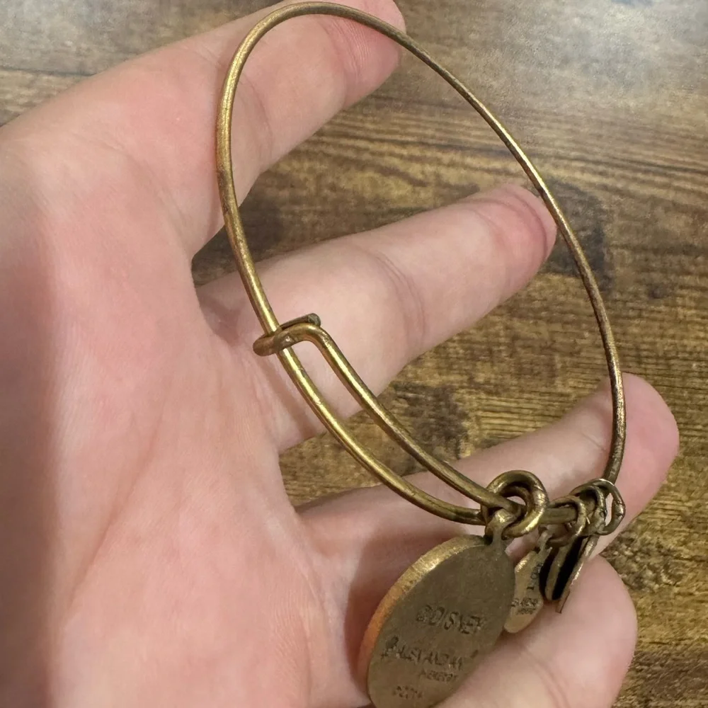 Alex and Ani excellent used