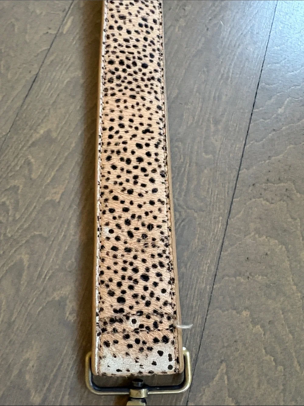 Anthropologie adjustable leather