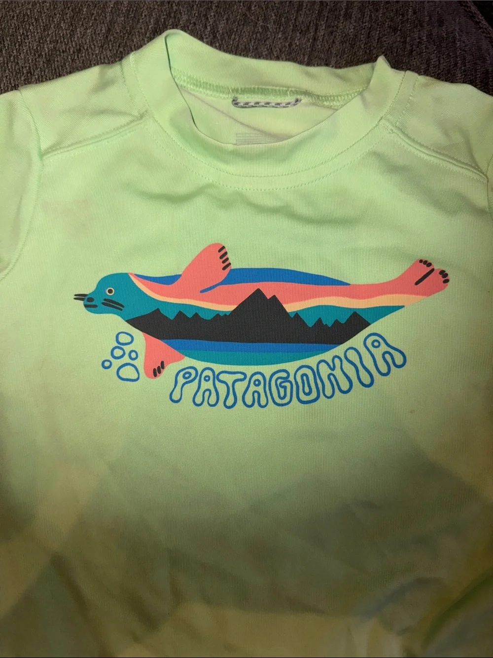 Patagonia two piece