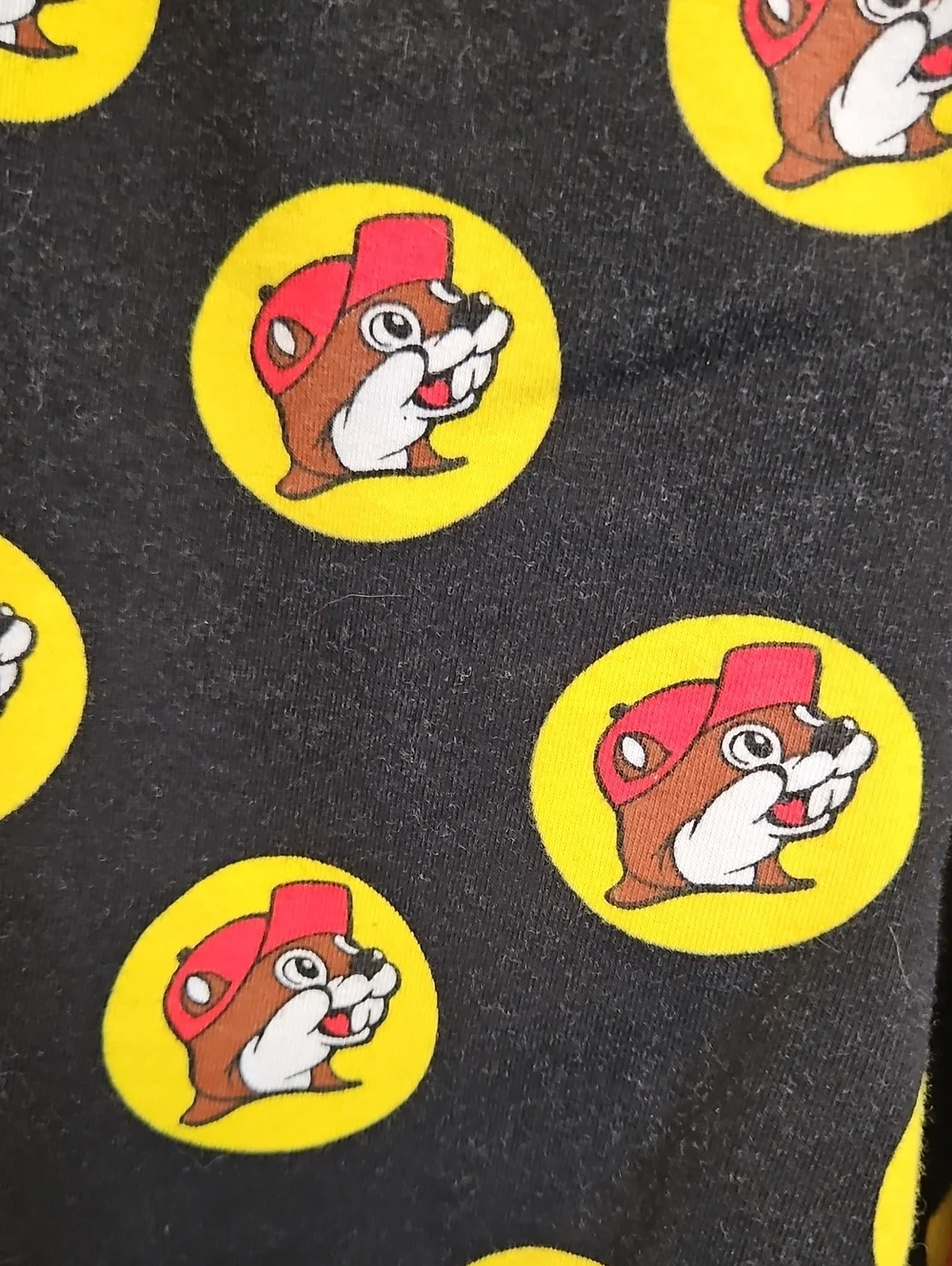 BUC-EES fly photos 5%