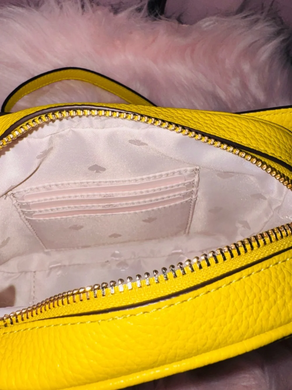 kate spade compact crossbody