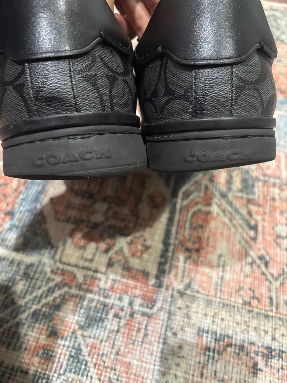 Coach low top
