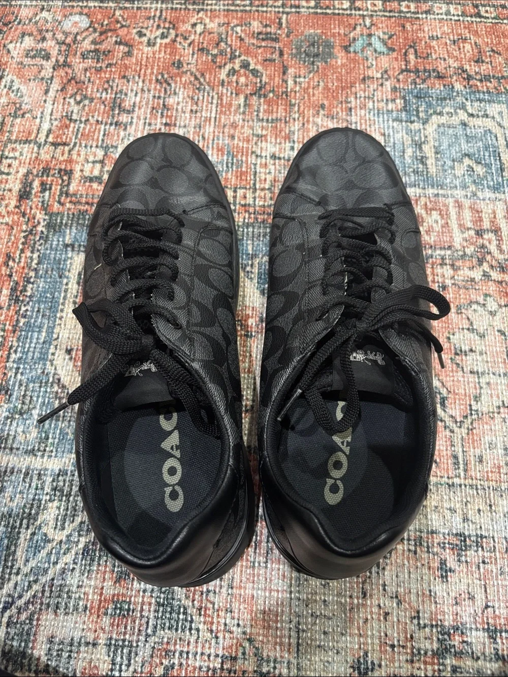 Coach low top
