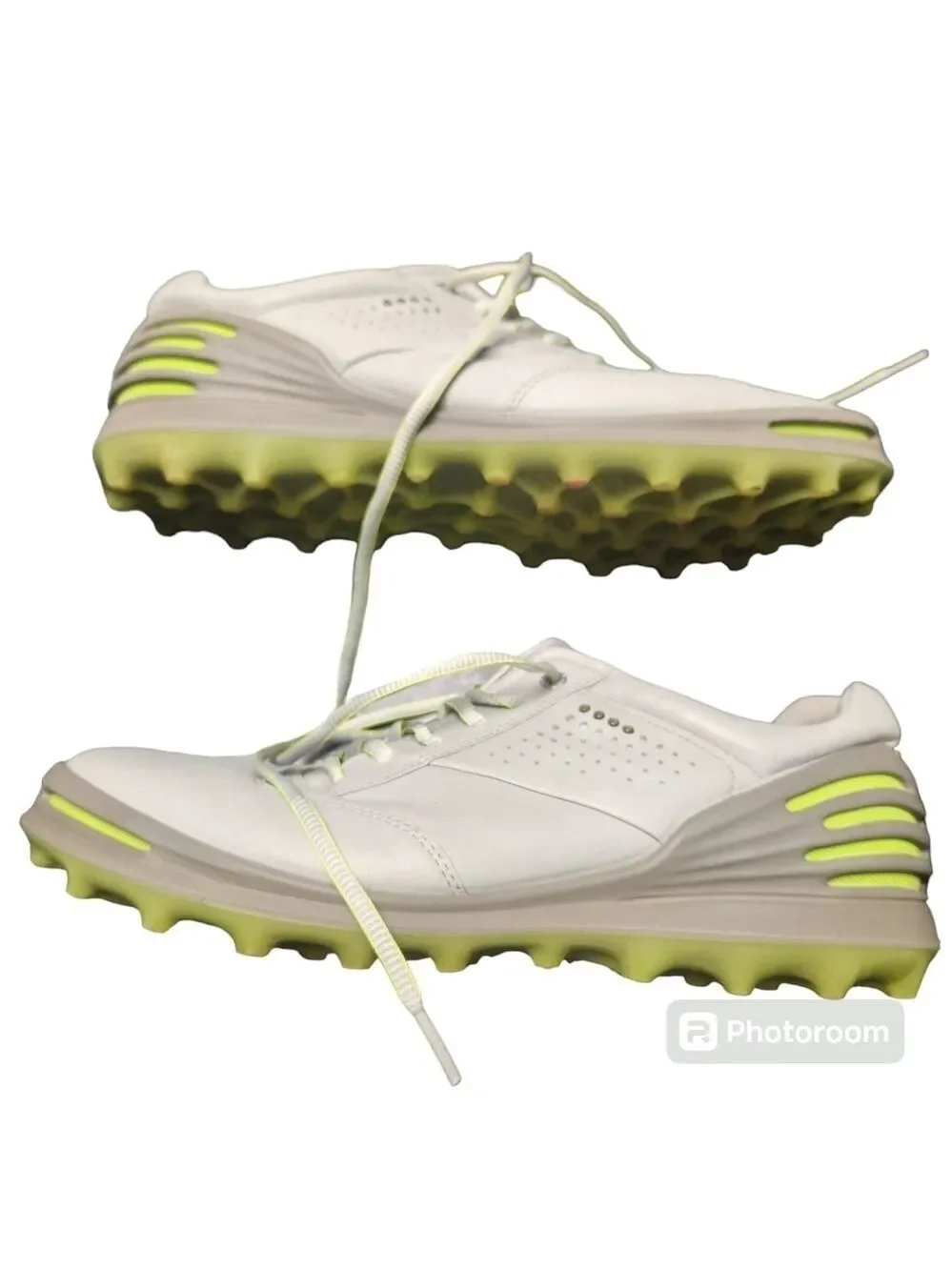 Ecco cage pro