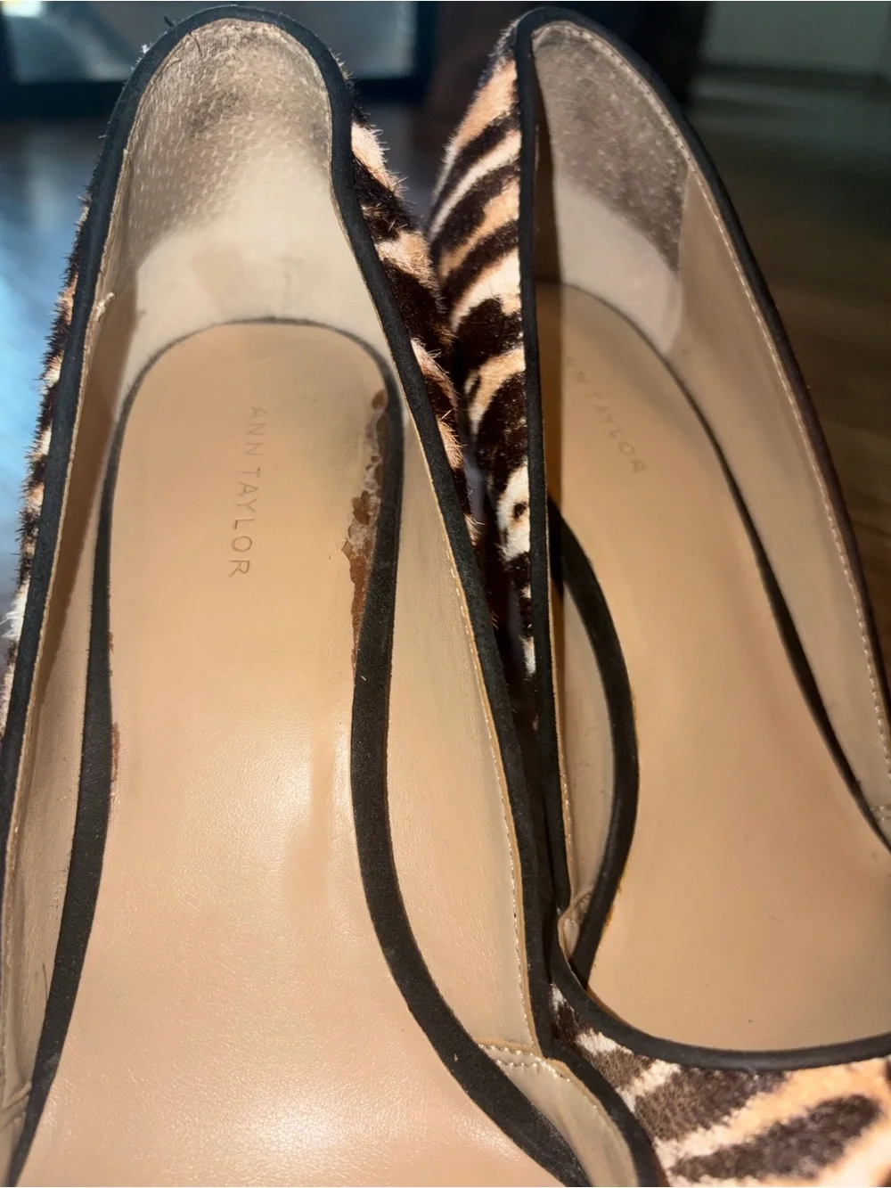 Ann Taylor chic pointed