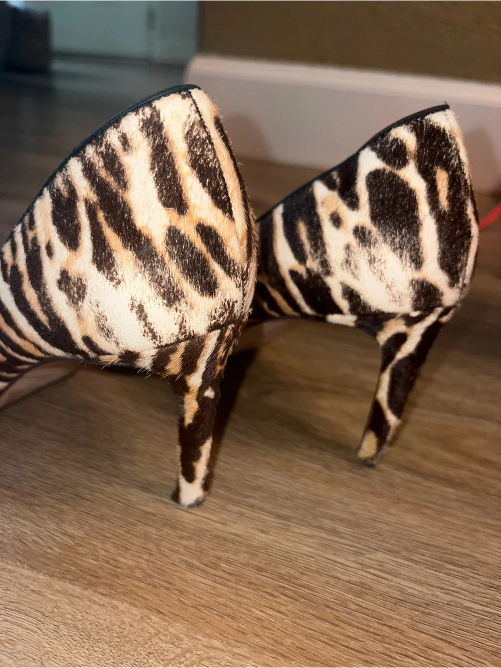 Ann Taylor chic pointed