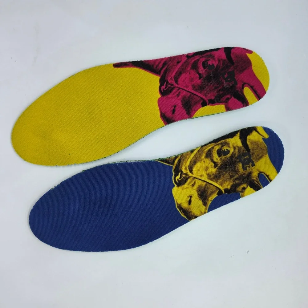 DC shoes andy