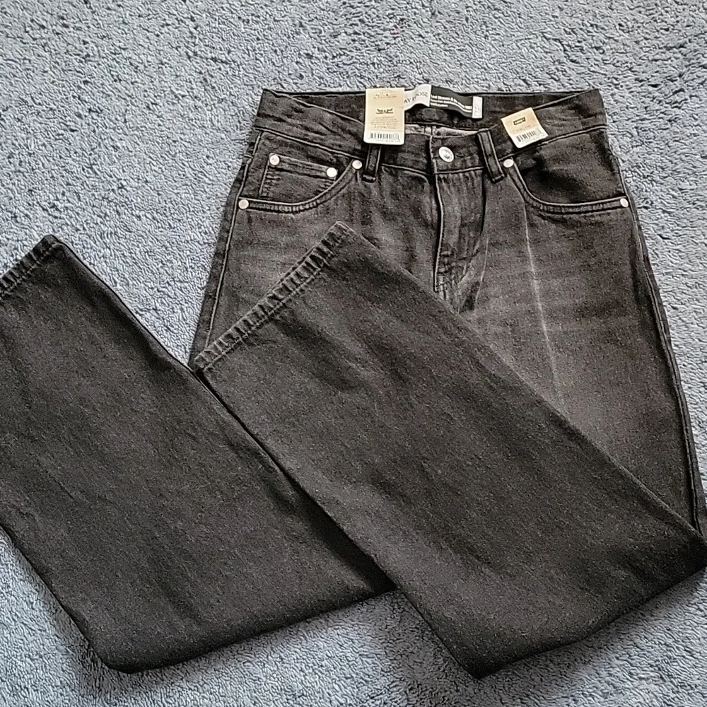 Levis levi silver