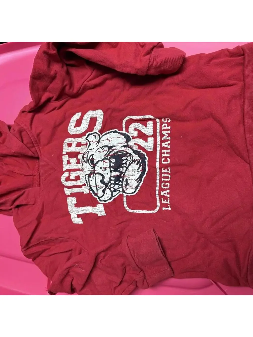 The Children's Place Kid's Red Hoody