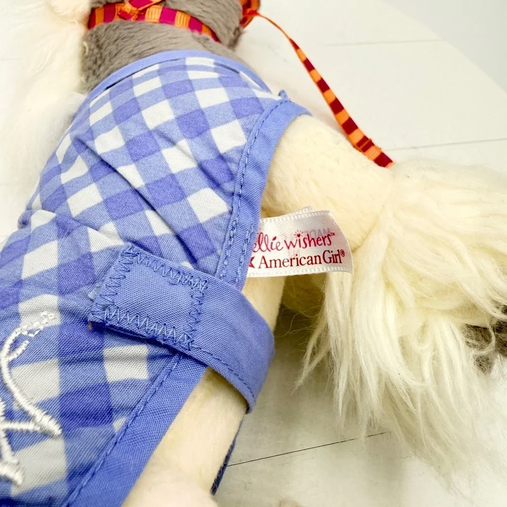 American Girl includes removable
