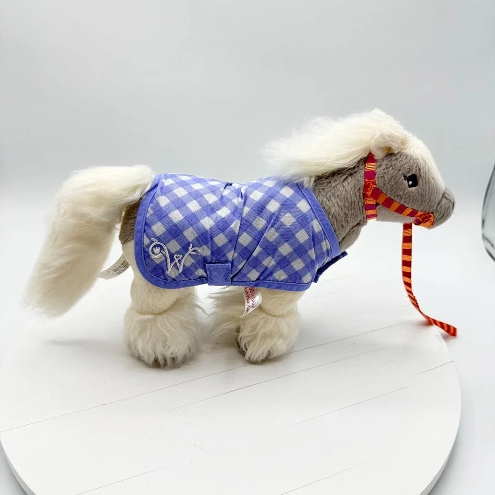 American Girl includes removable