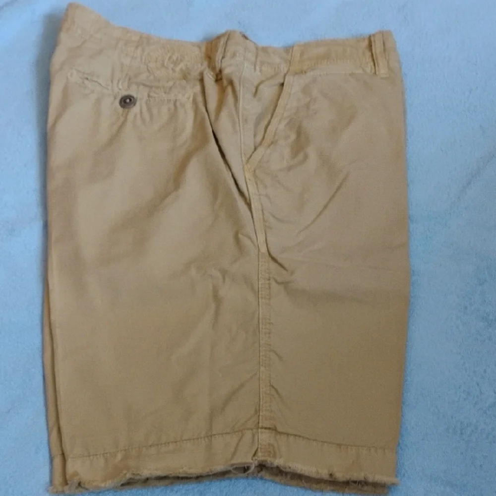 Paperbacks Tan Flat Front Shorts