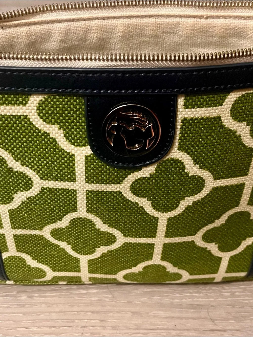 Spartina 449 Green and Cream Patterned  Purse