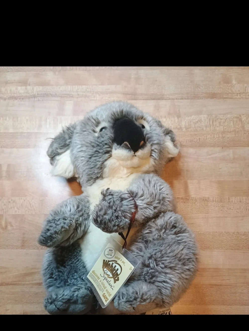 webkinz signature koala