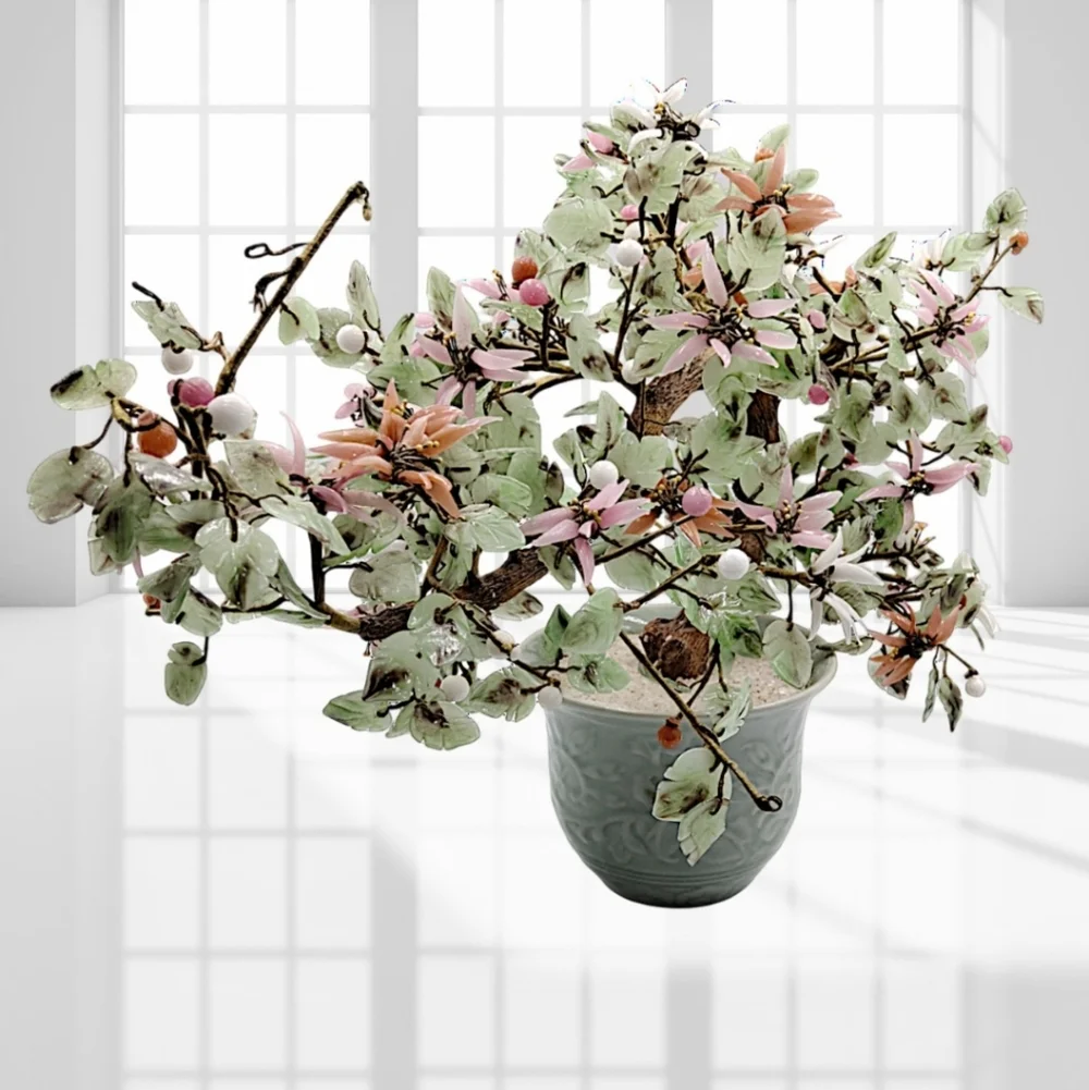 N/A bonsai jade