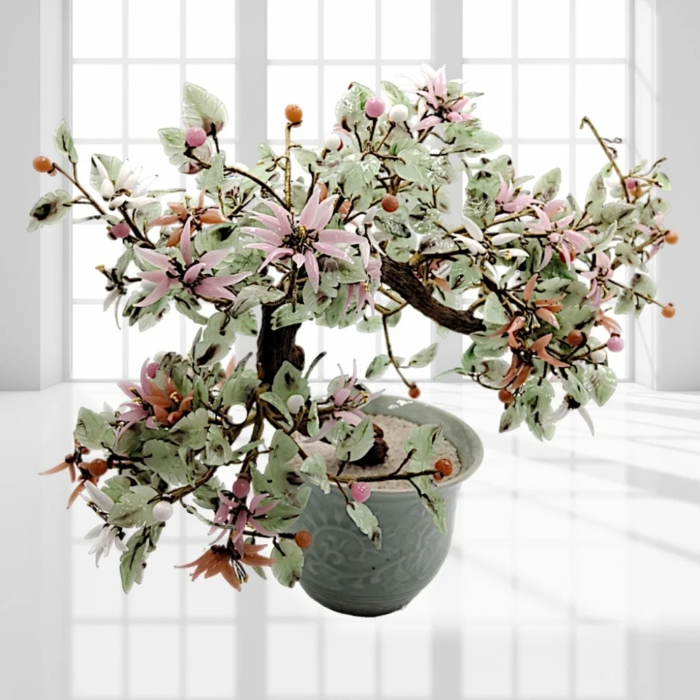 N/A bonsai jade