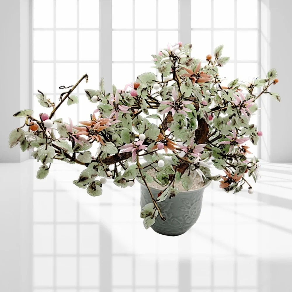 N/A bonsai jade