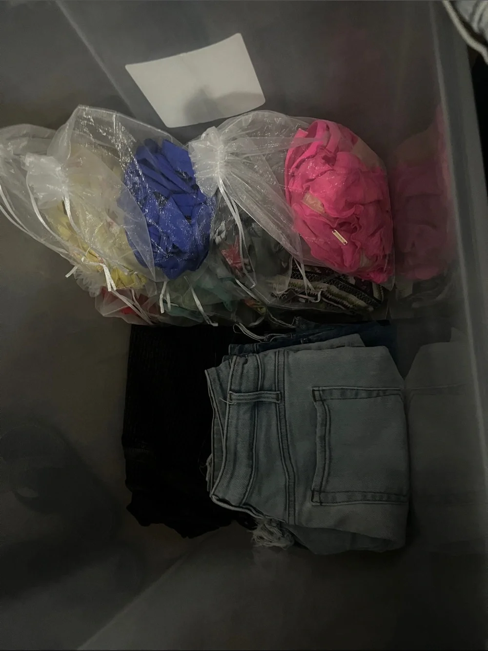 YMI women denim