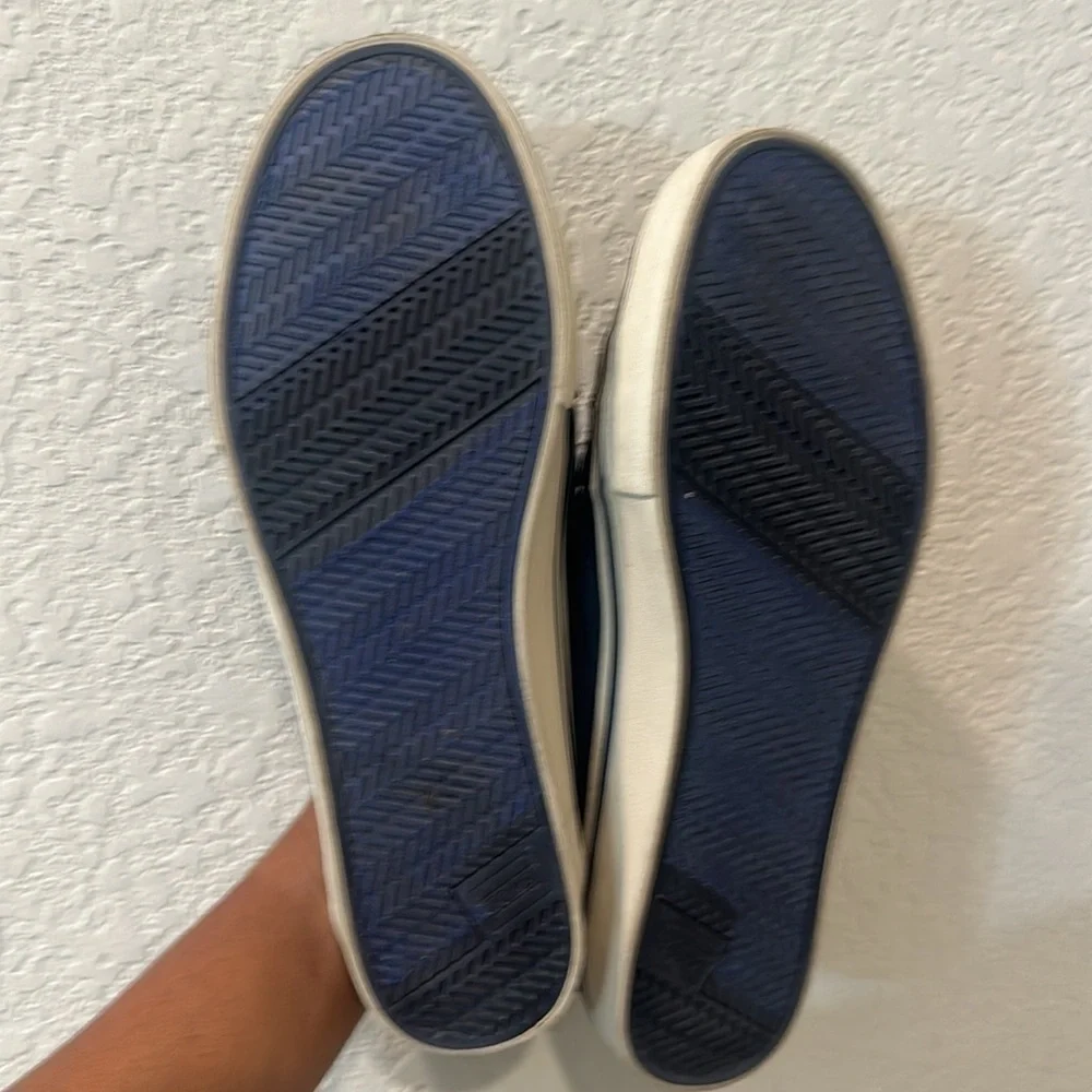 Toms men’s canvas