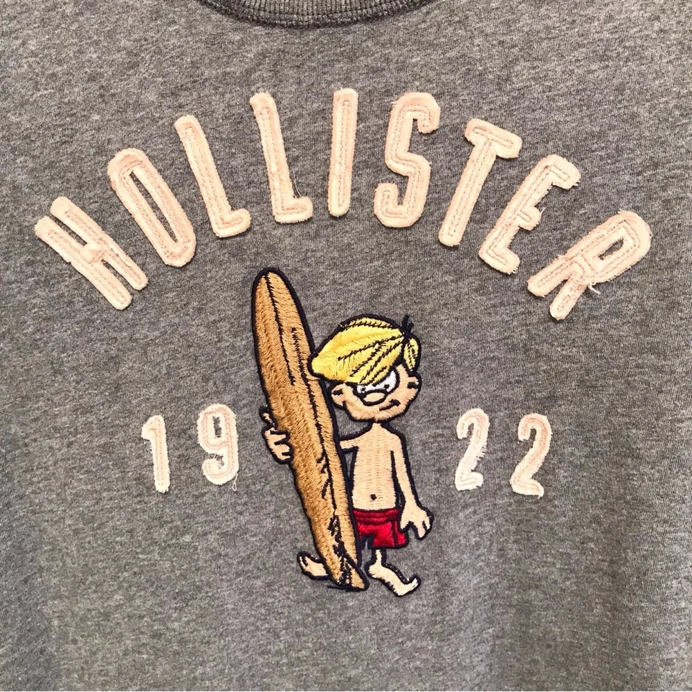 Hollister vintage embroidered