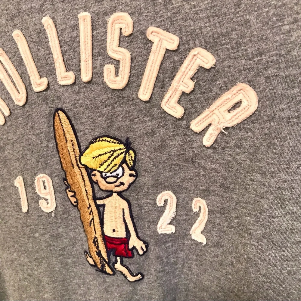Hollister vintage embroidered