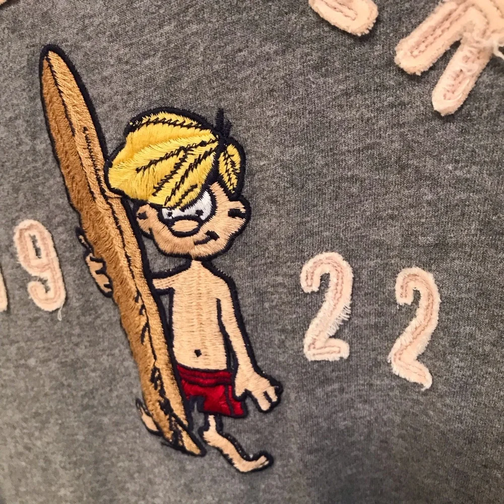 Hollister vintage embroidered