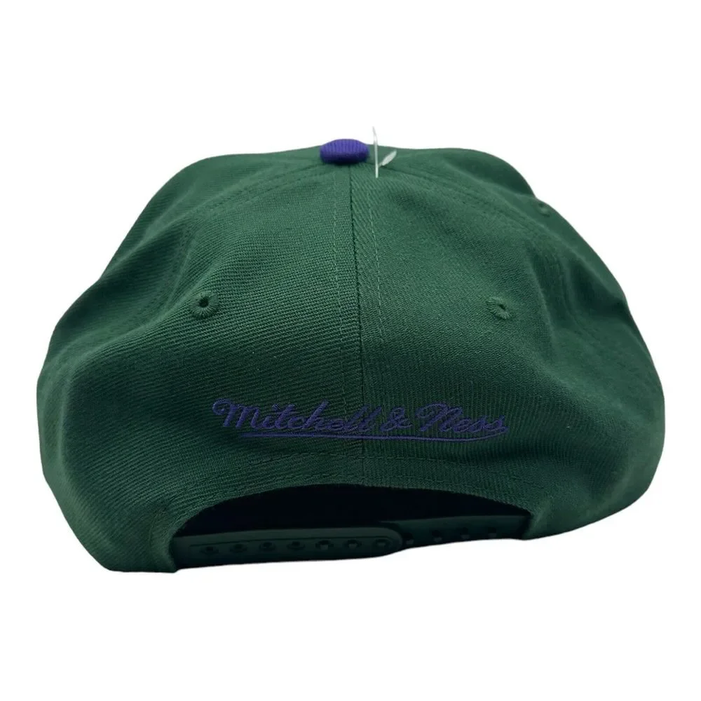 Mitchell & Ness milwaukee bucks