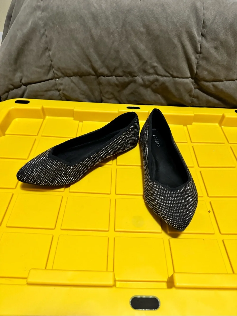 torrid sleek pointed