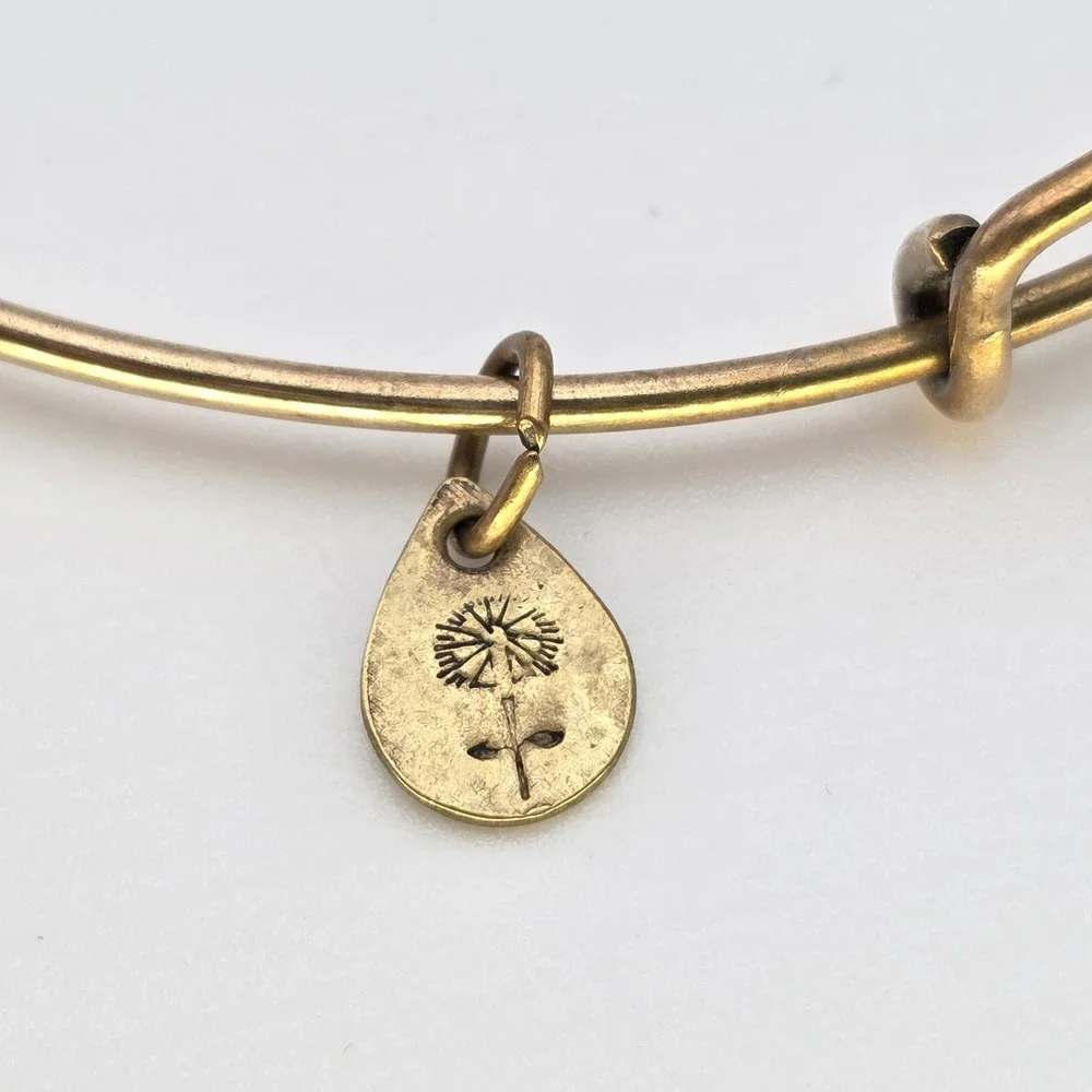 ALEX & ANI 'Initial H' Expandable Bangle Bracelet in Rafaelian Gold Made In‎ USA