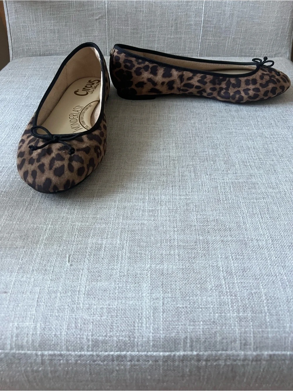 Circus by Sam Edelman chic leopard