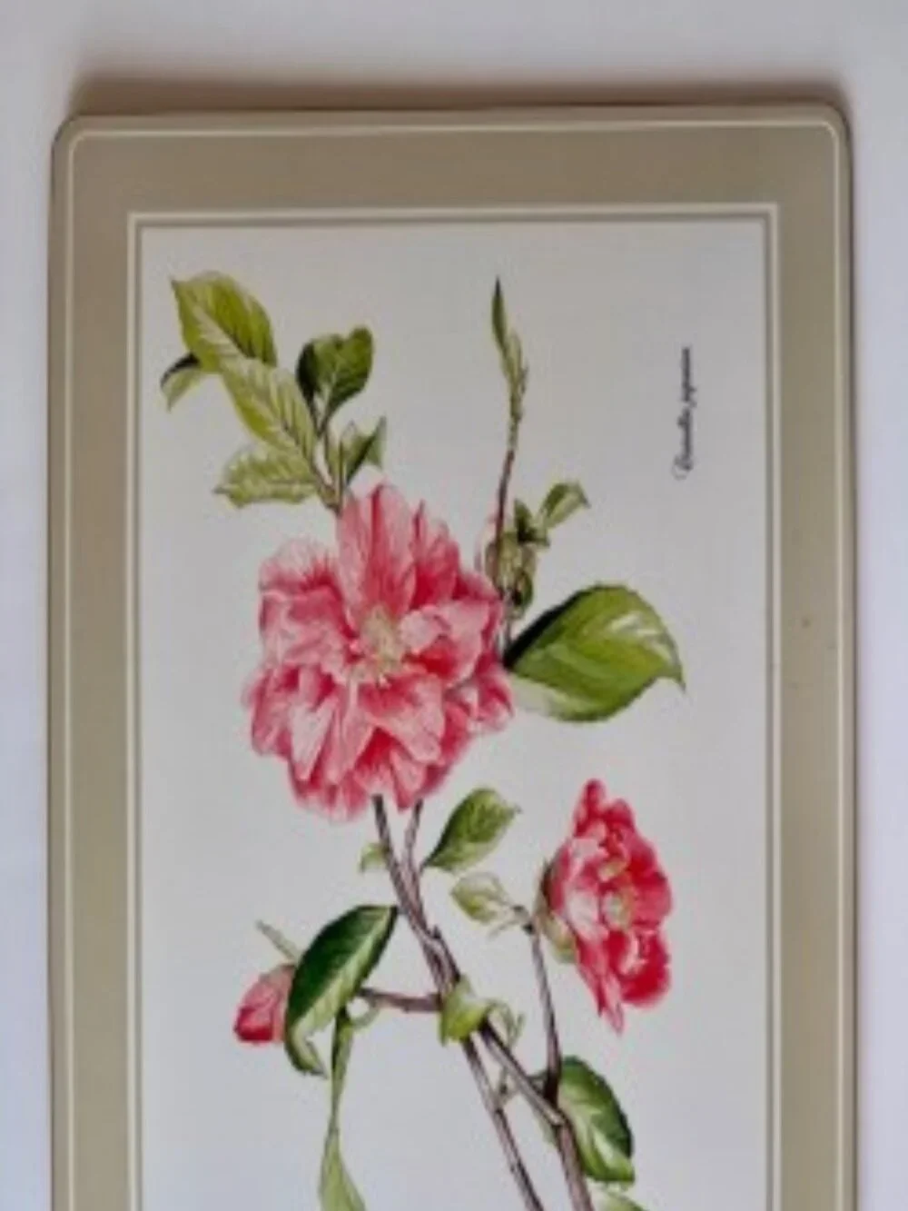 Lenox Pink Floral Serving Platter with Green Leaves