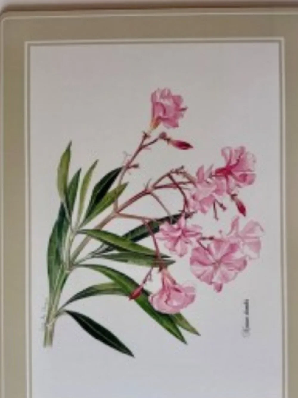 Lenox decorative serving